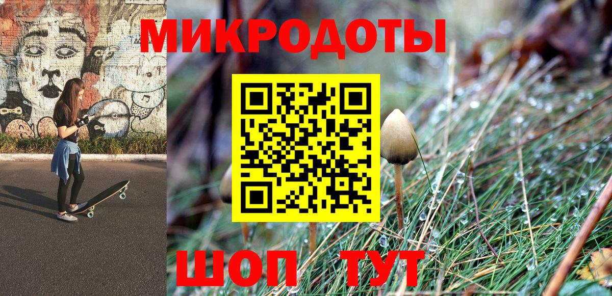 Галлюциногенные грибы Psilocybine cubensis Моршанск