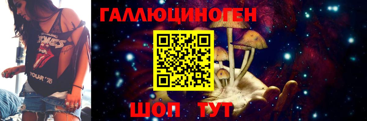 Моршанск  Псилоцибиновые грибы Psilocybine cubensis  Вход с VPN 